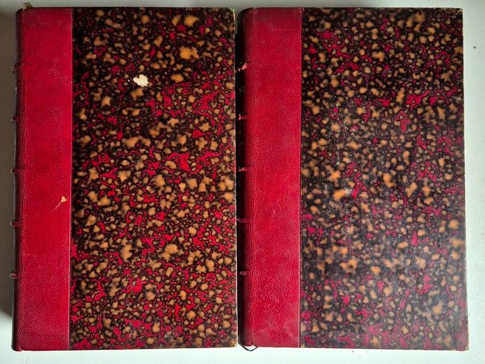 Very Scarce, Excellent Condition. Antique Set of French books, Histoire des Girondins by Lamartine.