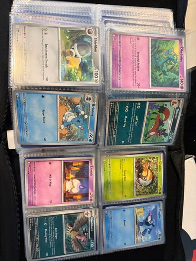 Pokemon TCG Card Collection (480 Cards)