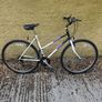 Raleigh Pioneer Image 2