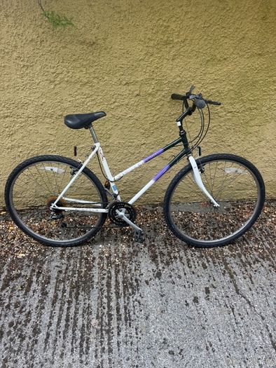 Raleigh Pioneer