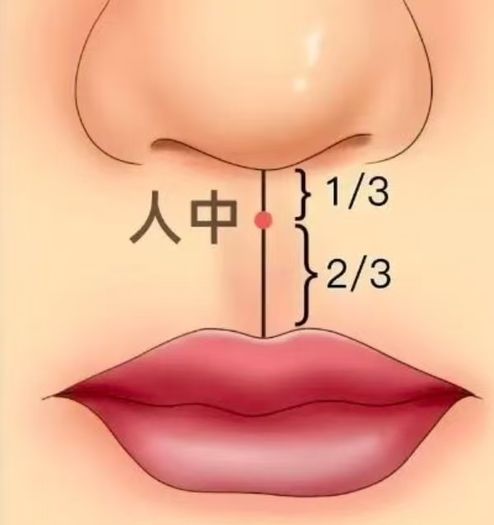 Latus Asian Massage