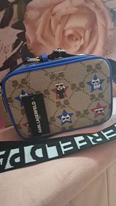 Karl Lagerfeld Bag