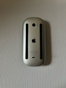 Apple mouse