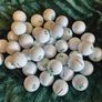 New Seed SD-01 golf balls x40 Image 3