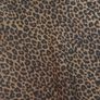 Satin Animal Print Maxi Skirt New Image 7