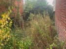 Pro-Cut Pressure Washing and Garden Maintenance Dublin Image 8