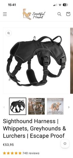Dog Harness