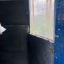 Horse box Image 4