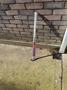 hockey stick