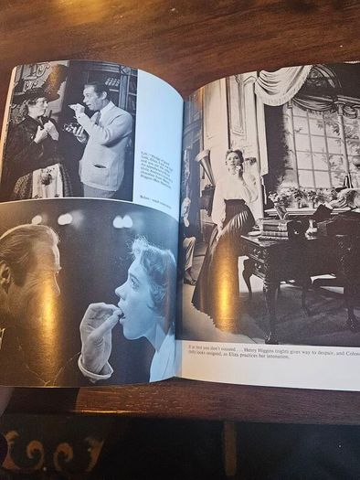 The Street Where I Live.. The Story Of My Fair Lady ,gigi And Camalot. By Alan Jay Lerner. First Edition Hardback With Dustjacket In Good Condition.  See Photos For Same.