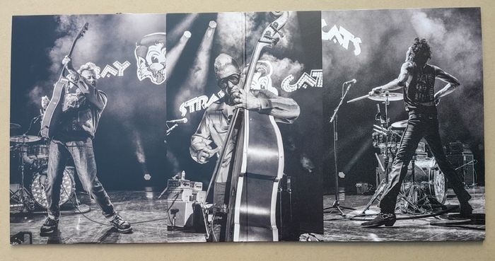 Stray Cats double blue vinyl live album