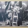 Stray Cats double blue vinyl live album Image 2