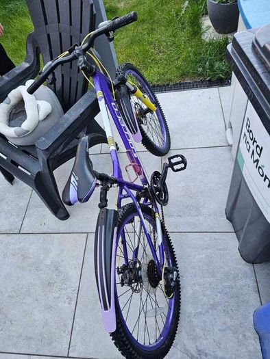 Carrera kids bicycle
