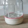 Live Sourdough Bread Starter Image 3