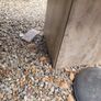 Stone table Image 6