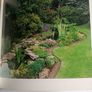 Water Gardens- Rock pools, ponds & waterfalls Image 4
