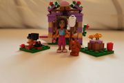 Lego Friends Andrea's Mountain Hut 41031