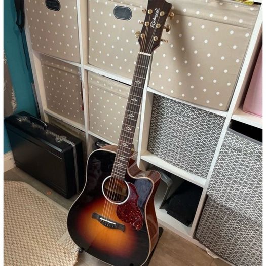 Richwood Electro Acoustic