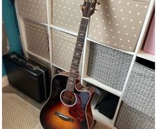 Richwood Electro Acoustic