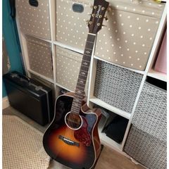 Richwood Electro Acoustic