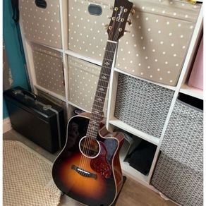 Richwood Electro Acoustic