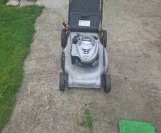 prolawn