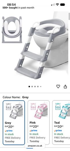 potty ladder step