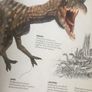 Dinosaur Fact Book Image 3