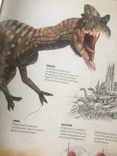 Dinosaur Fact Book
