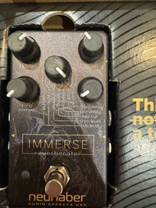 Neunaber Immerse reverberator