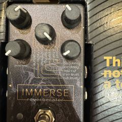 Neunaber Immerse reverberator