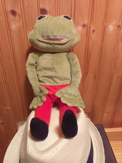 Freddie the Frog.