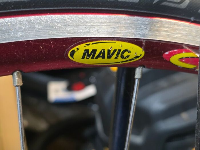 Vintage Nishiki Frame + Sealed Wheels