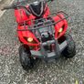 125cc quad Image 3