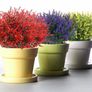 12 Bundles Outdoor Artificial Flowers UV Resistant Fake Boxwood Plants (MULTIPLE COLOURS) Image 7