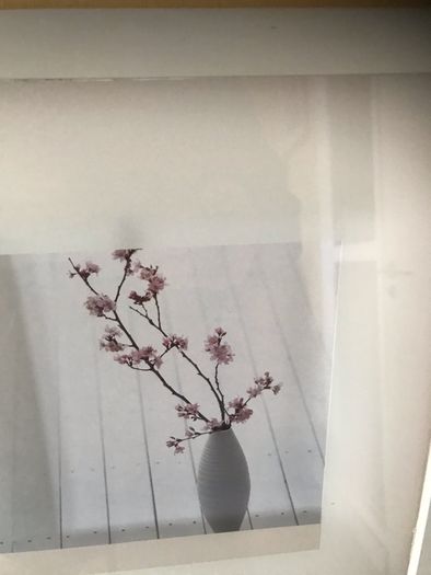 Framed Floral Print Set