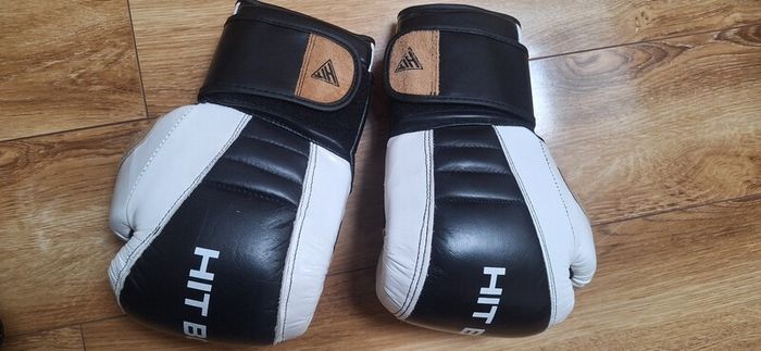 HIT Boxing Gloves & Pads Set