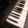 Digjtal Piano Image 3
