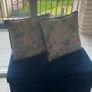 2 Velvet Cushions Image 2