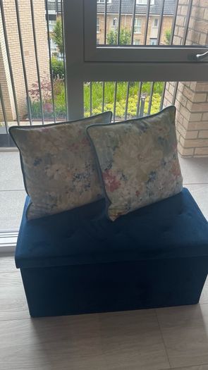 2 Velvet Cushions