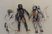 Neca Predator