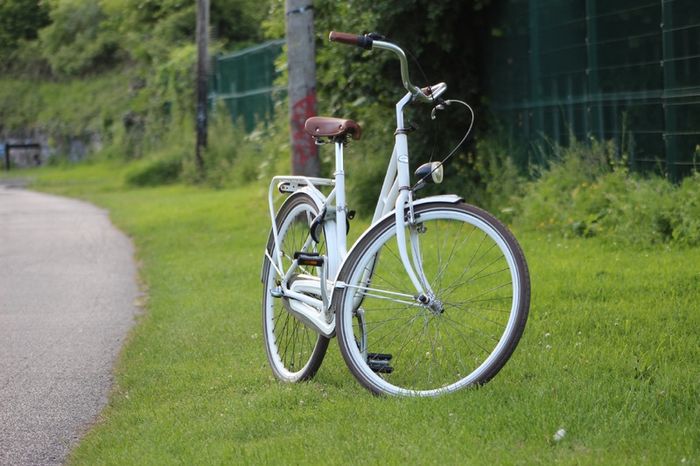 Dutch Style 3 Speed City Bike Hub Gears, Lights & Rear Pedal Brake