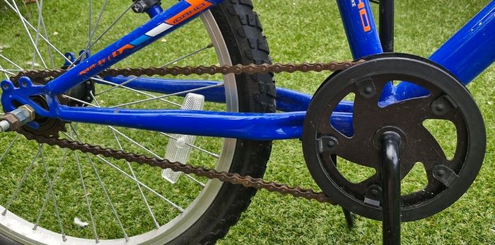 Kids 20" Idaho bike