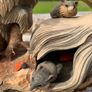Adorable signed rustic tableau of hedgehog & sparrow having a chat, with hidey holes for tiny field mice. Hand carved, a special Christmas gift Image 4
