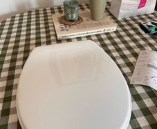 Brand New Toilet Seat