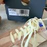 New Balance Runners Size 6 Image 5