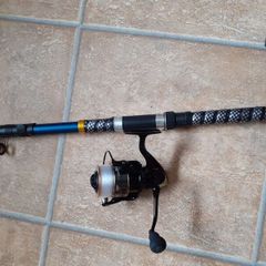 fishing rod and reel