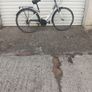 bicycle Image 4