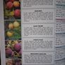 The Fruit Expert / Dr. D. G. Hessayon / 2006 Image 6