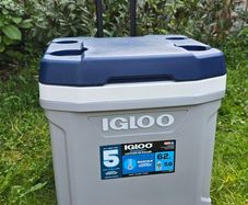 Igloo Cooler Box